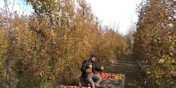 Regresarán a Andresito un grupo de cosecheros que se encontraban varados en Río Negro