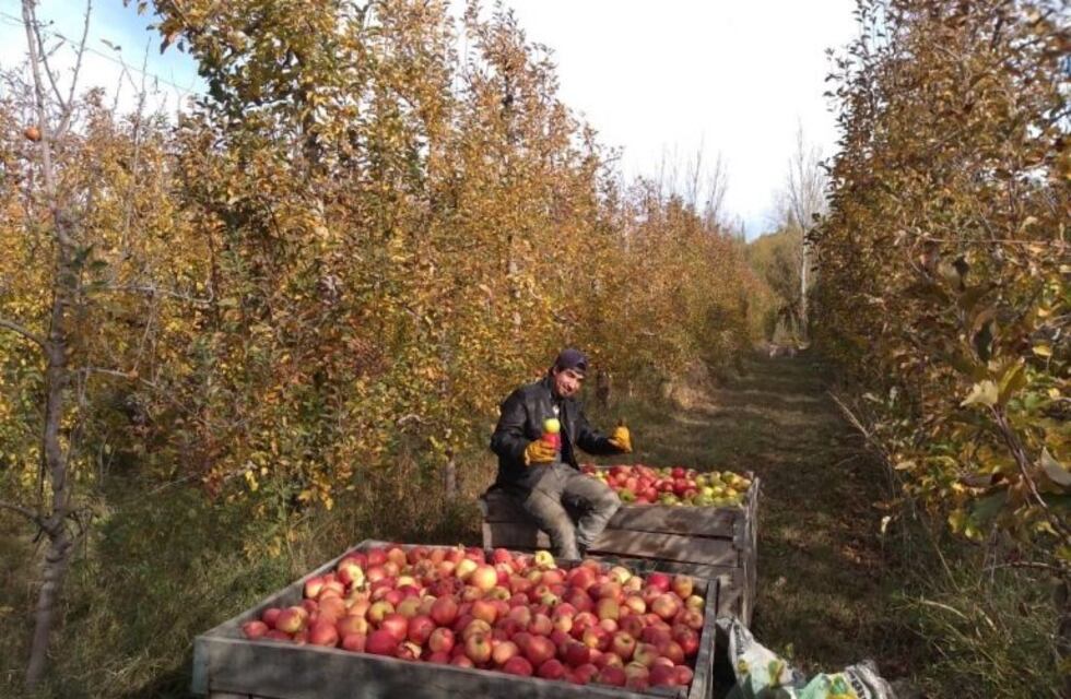 Regresarán a Andresito un grupo de cosecheros que se encontraban varados en Río Negro