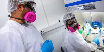 Médicos de la UNLP advierten que \