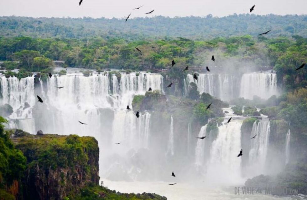 Bolsonaro privatizó el Parque Iguazú y otros dos atractivos naturales de Brasil
