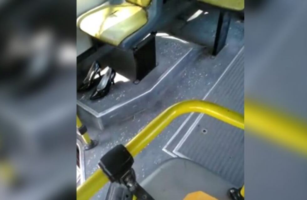 Colectivero jujeño busca a la "yenicienta" que dejó sus zapatos en el micro