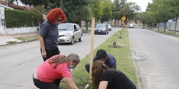Jornada de forestación en el barrio Sol y Lago.