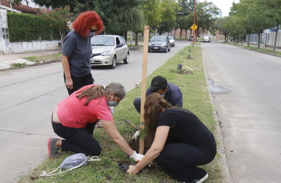 Nueva jornada de forestación con especies nativas en el barrio Sol y Lago de Carlos Paz
