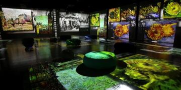 En el Centro de Expresiones Contemporáneas (CEC) de Rosario organizaron una experiencia de arte inmersiva basada en la obra de Vincent Van Gogh.