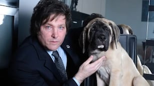 Conan y Milei en sus primeros años.