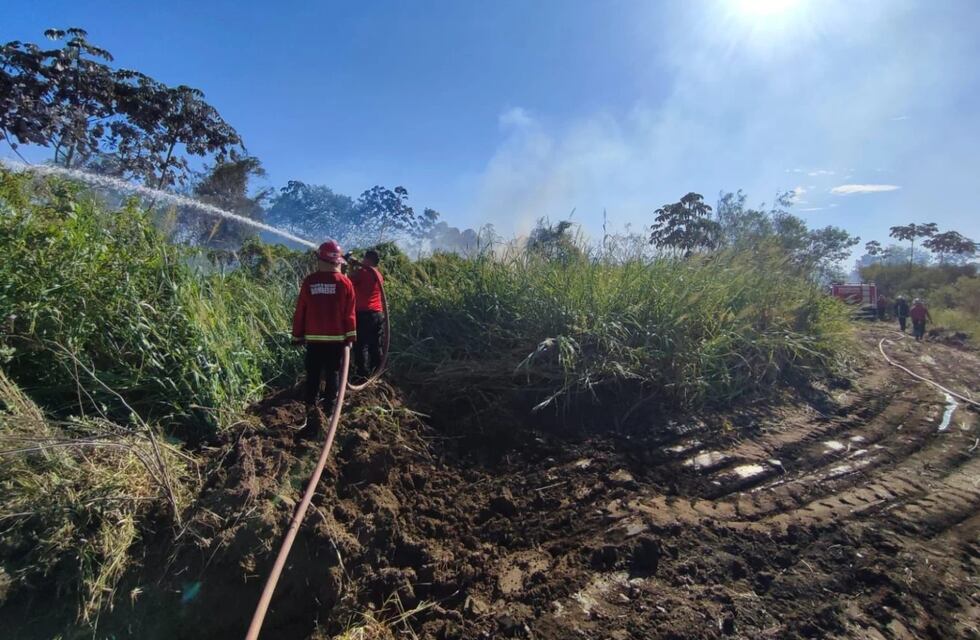 Emergencia ígnea en Misiones: la sequía durará todo el verano manteniendo alto el riesgo de incendios