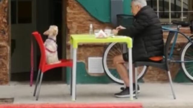 Viral del hombre desayunando con su perro en Arroyito