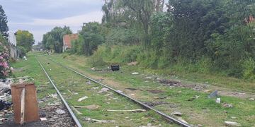 El maquinista del tren tuvo que detener la marcha cerca de Felipe Moré y Esquiú.