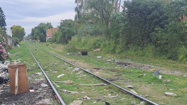El maquinista del tren tuvo que detener la marcha cerca de Felipe Moré y Esquiú.