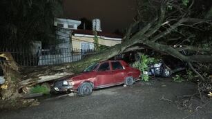 Los destrozos que provocó el temporal en Córdoba. (Foto: El Doce)