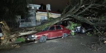 Los destrozos que provocó el temporal en Córdoba. (Foto: El Doce)