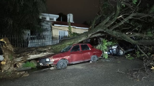Los destrozos que provocó el temporal en Córdoba. (Foto: El Doce)