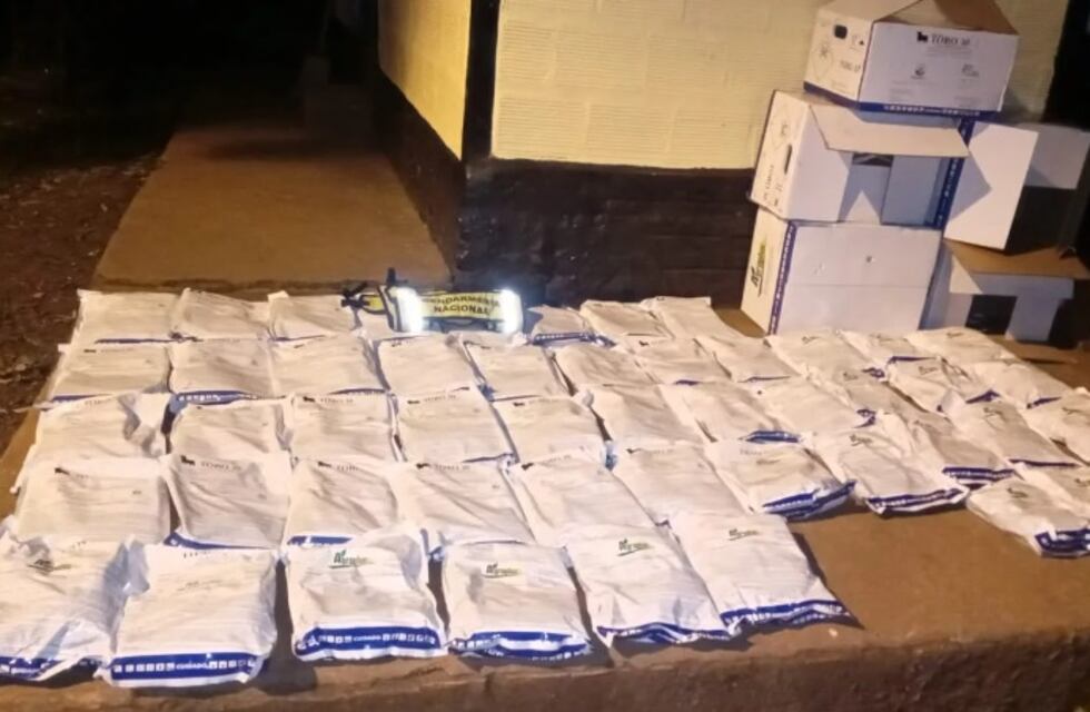 Puerto Iguazú: incautan contrabando de agroquímicos