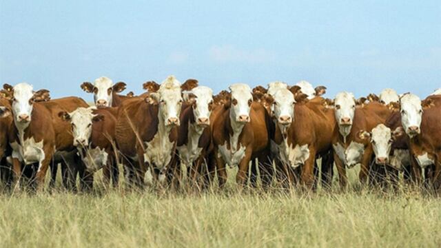Declaración de Dublín de los científicos sobre el papel social de la ganadería.
