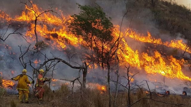 Al momento, se registran seis provincias con focos activos de incendios en nuestro país.