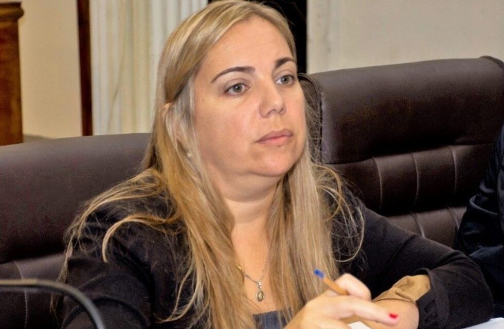 Engelbrecht: "La votación del Presupuesto es una foto de lo que se viene y me asusta"