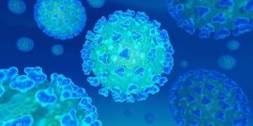 Covid-19: las muestras procesadas el miércoles en La Rioja resultaron negativas