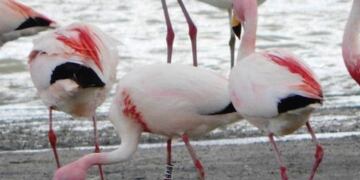 Gobierno de Catamarca