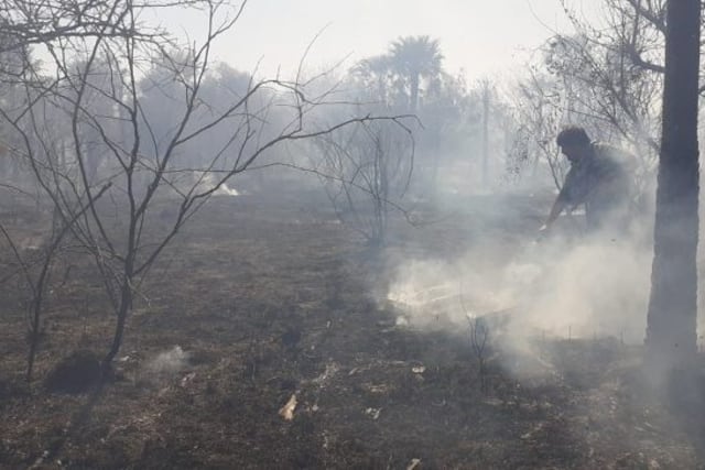 Incendios que arrasó con la Fauna y Flora en el Parque Provincial San Cayetano\u002E
