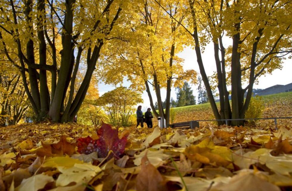 Llegó el otoño a Punta Alta