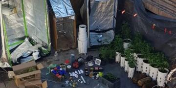 Marihuana en una casa de Godoy Cruz
