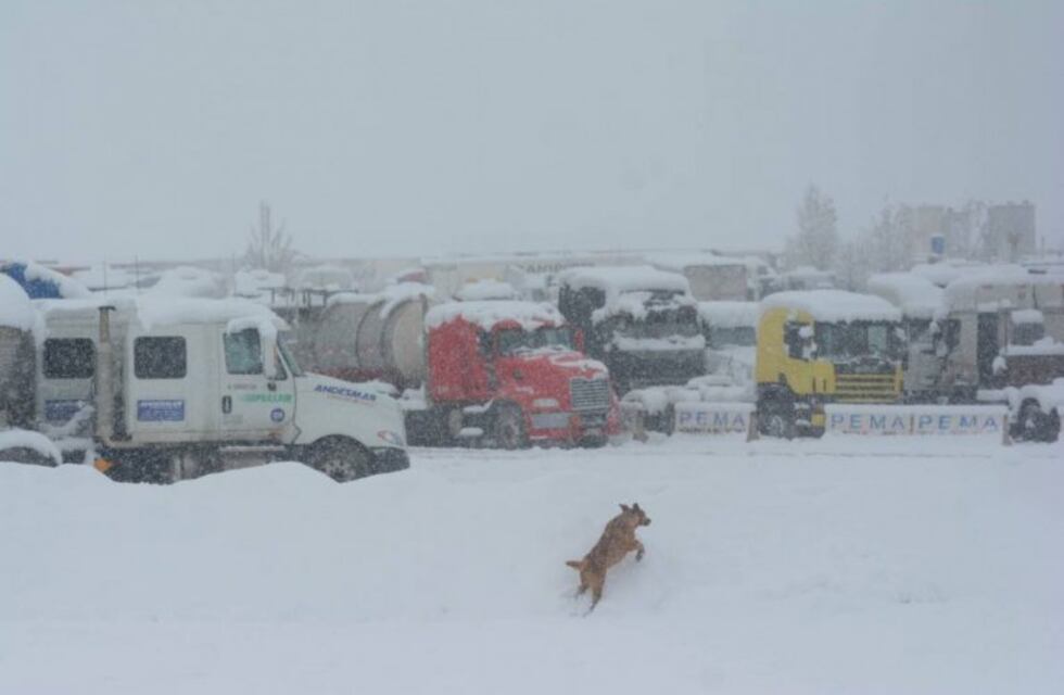 Más de 650 camiones esperan para cruzar a Chile