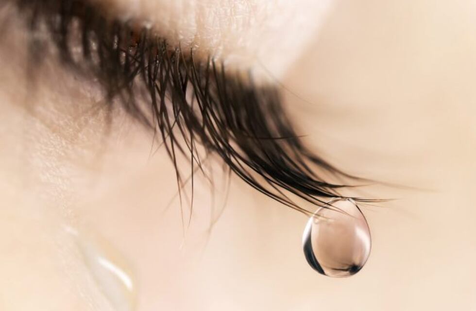 La desesperada carta de una madre para poder ver a su hijo