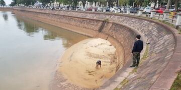 Rescató a un perro de la playa y el gesto se volvió viral