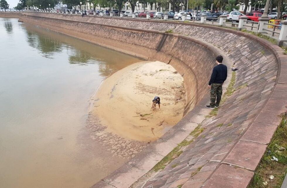 Rescató a un perro de la playa y el gesto se volvió viral