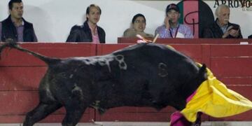 Una torera se fracturó la mandíbula durante una corrida (Foto: Twitter)