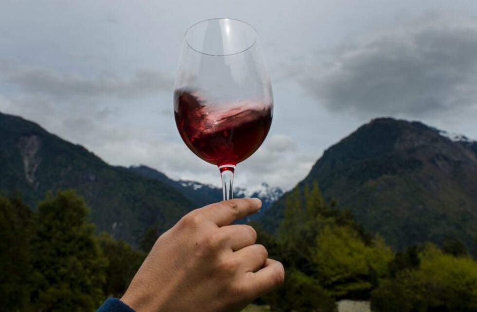Cómo saber si el vino está picado