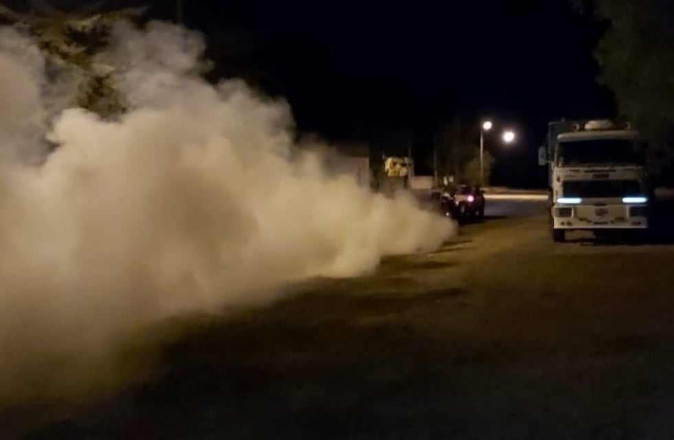 Punta Alta: cronograma de fumigación para el mes de abril