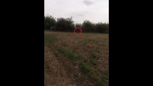 ¿Un duende en Tucumán?