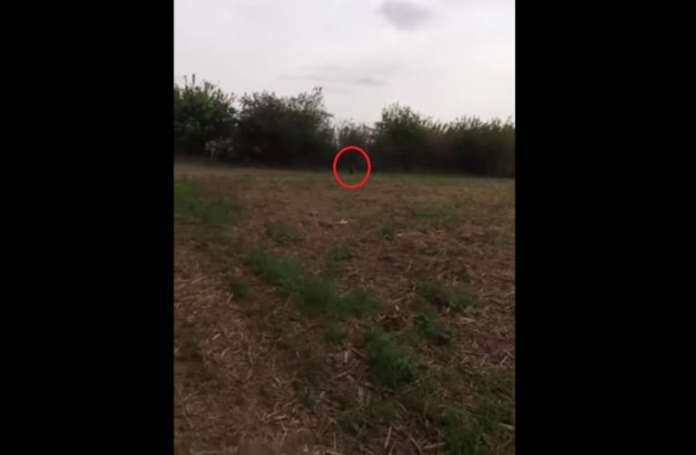 El video de un supuesto duende en Tucumán que se volvió viral