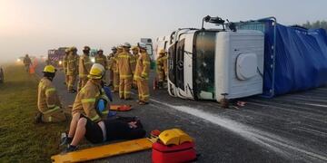 Un toro suelto en la Autovía 2 provocó un triple choque
