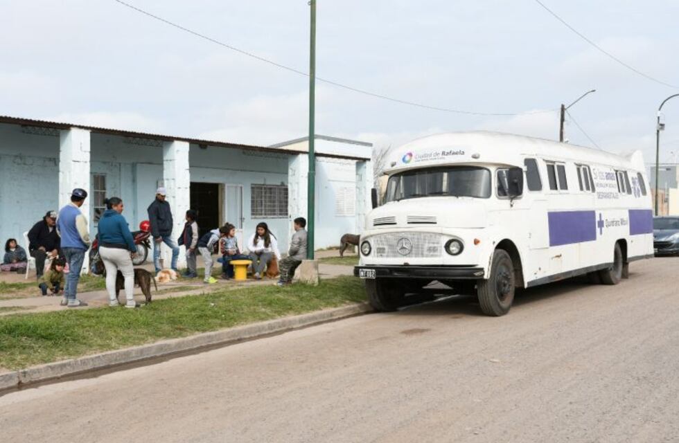 Continúa la campaña de castración masiva de perros y gatos