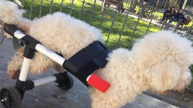 (Twitter: @Alecolli1)