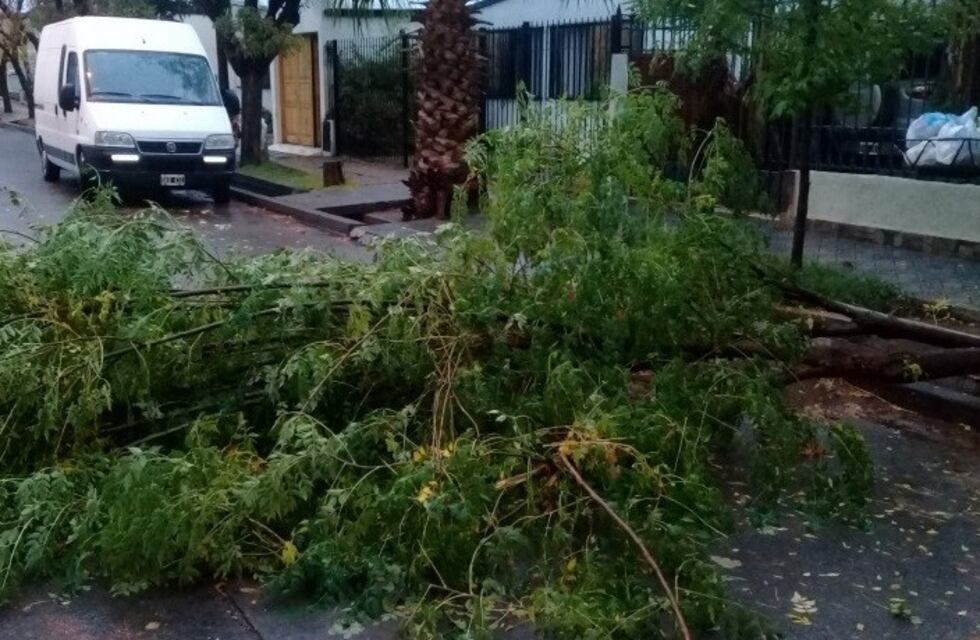 La lluvia causó varios problemas en San Rafael