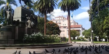 Palomas muertas en la Plaza 9 de Julio (FM Aries)