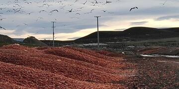 Realizan gestiones por la problemática del residuo de la industria pesquera