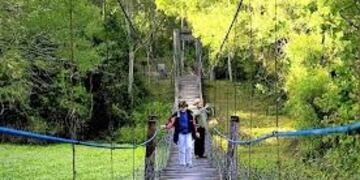 Viajes para conocer el Chaco serán ofrecidos por la Federación de Empresas de Turismo