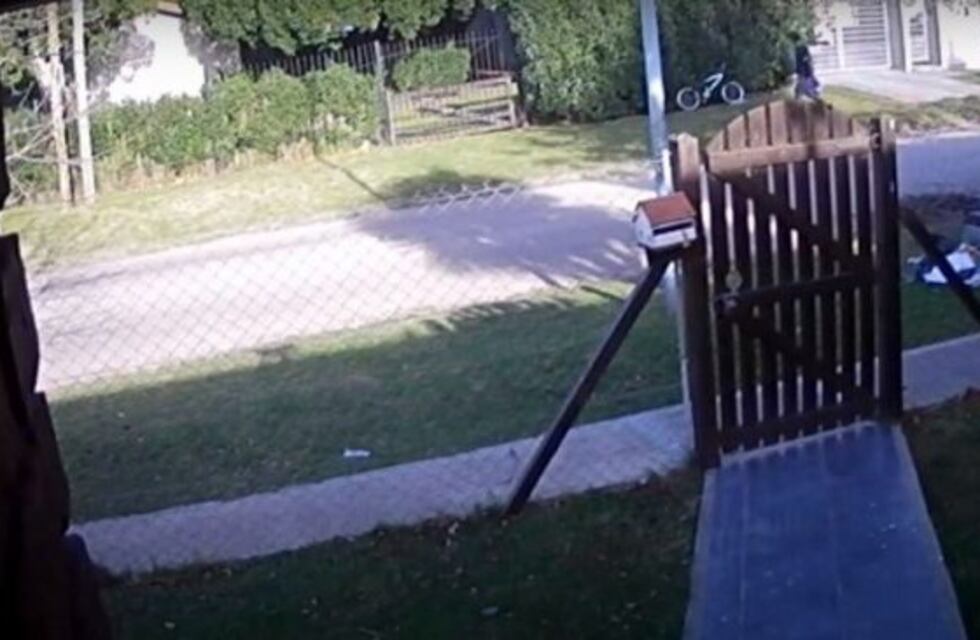 El recolector de residuos que robó la bicicleta de un niño la devolvió