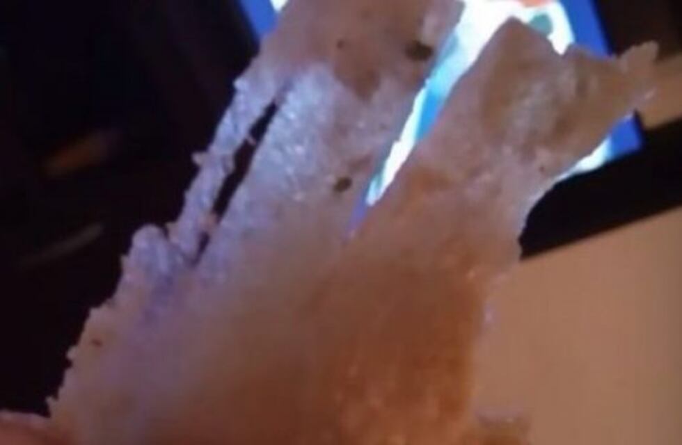 Comió milanesas, se descompuso y mostró lo que tenían adentro