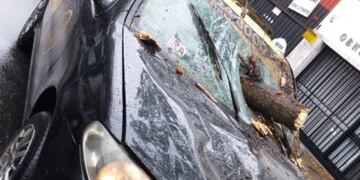Rama de árbol se incrustó en taxi