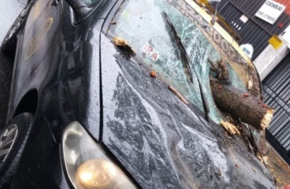 Una enorme rama atravesó el parabrisas de un taxi y el chofer sobrevivió de milagro