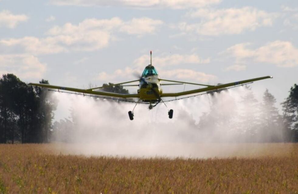 Agroquímicos: la empresa Aransunú propuso un plan de erradicación de un año