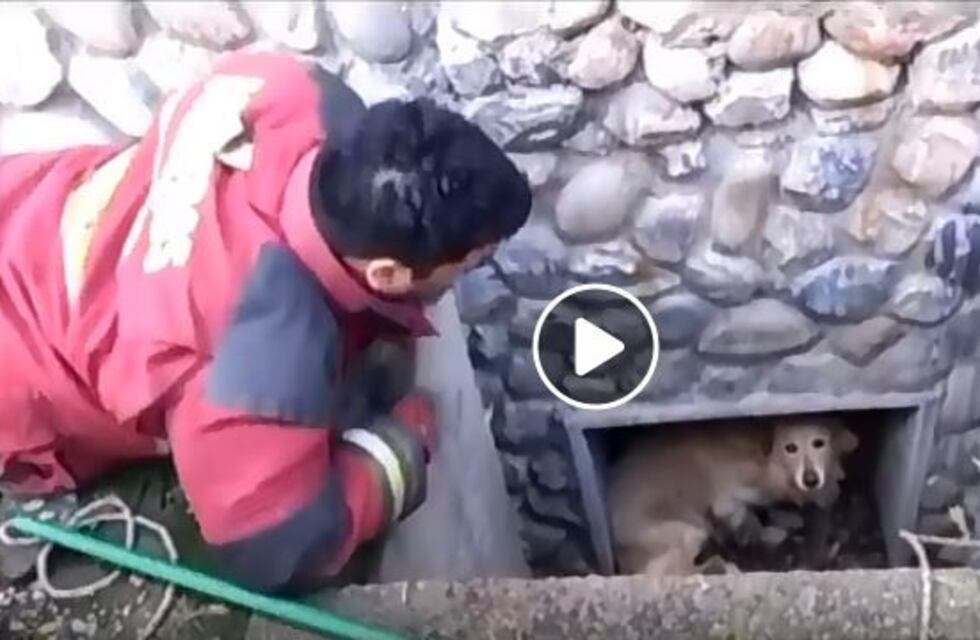 Bomberos de Ushuaia rescataron a un perro que estaba atrapado en una alcantarilla