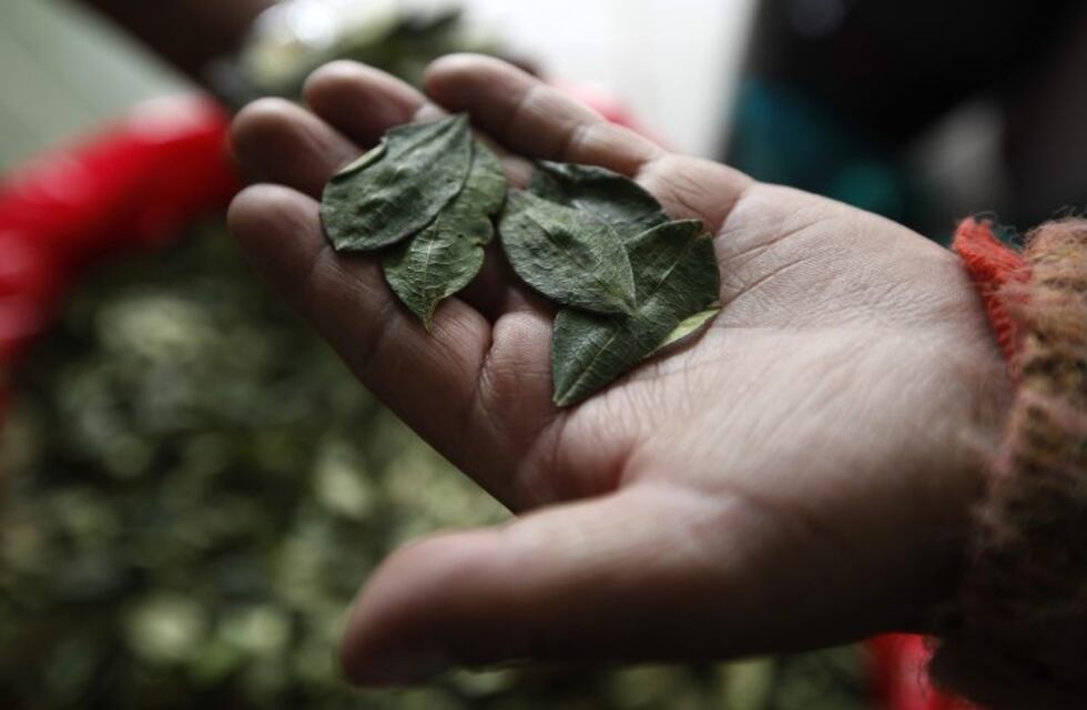 Lo detuvieron con casi una tonelada de coca en el límite entre Córdoba y Santiago del Estero
