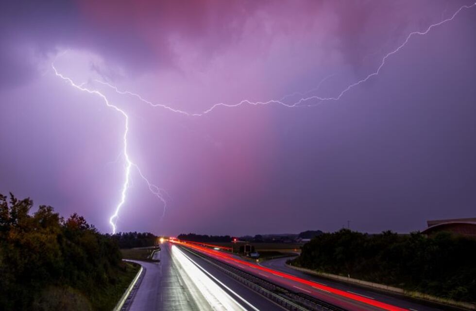 Río Cuarto: un rayo mató a 16 novillos en un feedlot