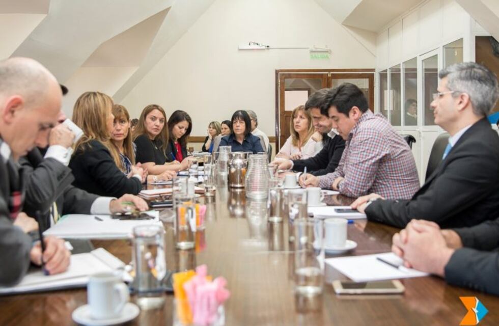 Liliana Conti, titular de la Obra Social de Estado Fueguino, expuso ante la Comisión 5 por la OSEF